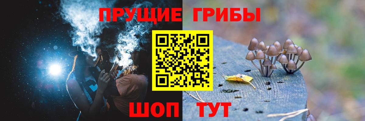 Псилоцибиновые грибы GOLDEN TEACHER  Псилоцибиновые грибы MAGIC MUSHROOMS  Вход с VPN  Рузаевка 